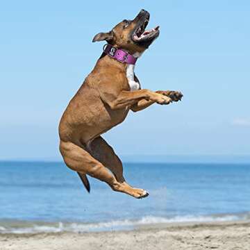 Durable TSPRO Tactical Dog Collar - Adjustable & Comfortable