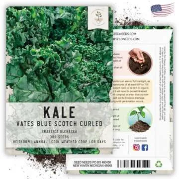Vates Blue Scotch Curled Kale Seeds - Non-GMO Heirloom Variety