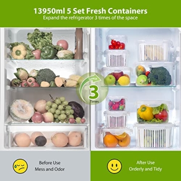 LUXEAR Larger Fruit Vegetable Produce Storage Saver Containers with Lid & Colander 5 Packs BPA-Free Plastic Fresh Keeper Set | Refrigerator Fridge Organizer | for Salad Berry Lettuce Food Celery