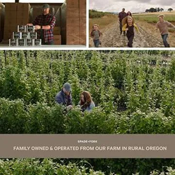 Organic Indoor Vegetable Garden Starter Kit - USA