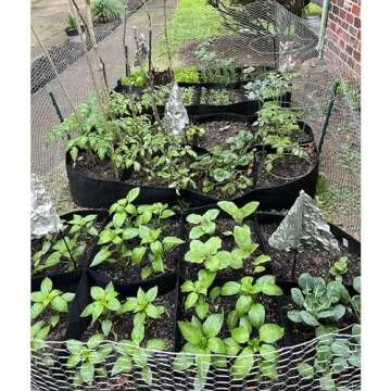 CJGQ Fabric Raised Garden Bed 6x3x1ft Garden Grow Bed Bags for Growing Herbs, Flowers and Vegetables 128 Gallon