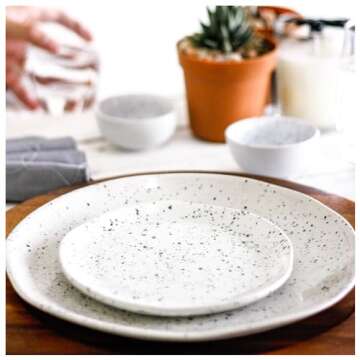 roro 7 Inch Ceramic Stoneware Spotted Speckled Glossy White with Black Appetizer dishes | Salad Plates, Set of 2