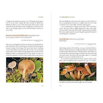 Foragers Calendar for Seasonal Wild Foods & Edibles