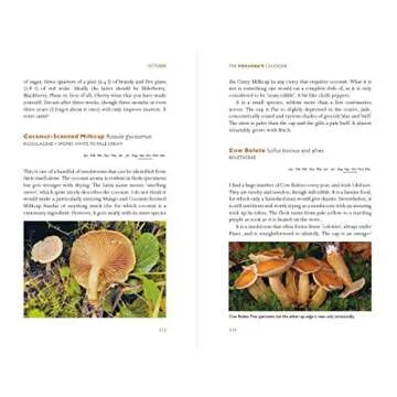 Foragers Calendar for Seasonal Wild Foods & Edibles