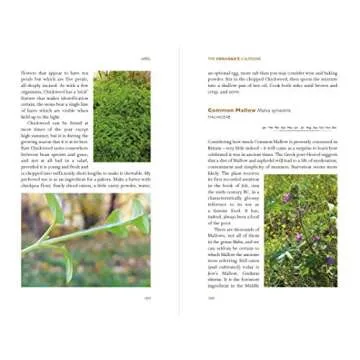 Foragers Calendar for Seasonal Wild Foods & Edibles