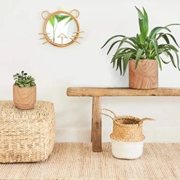 Stylish Ceramic Plant Pots with Natural Wood Texture Set