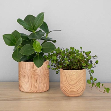 Stylish Ceramic Plant Pots with Natural Wood Texture Set