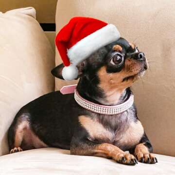 Apasiri Rhinestone Dog Collar for Small Dogs, Pink Dog Collar, Leather Dog Collar, Girl Dog Collars for Medium Dogs, Cute Dog Collar, Diamond Dog Collar Bling Cat Collar for Puppy XSmall(7.8"-10.2")