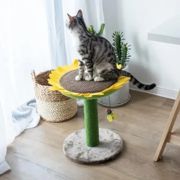 Buy Catry 24" Sunflower Cat Scratching Post Today