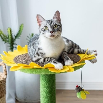 Buy Catry 24" Sunflower Cat Scratching Post Today