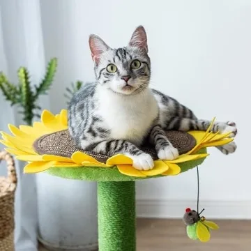 Buy Catry 24" Sunflower Cat Scratching Post Today