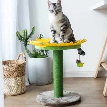 Buy Catry 24" Sunflower Cat Scratching Post Today