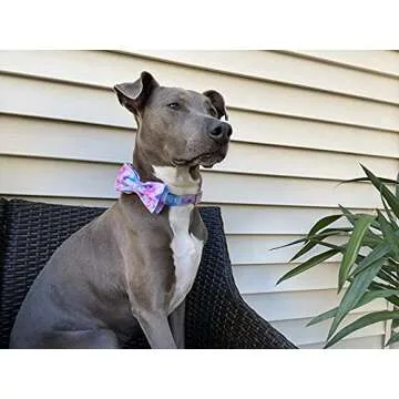 Elegant little tail Dog Collar with Bow, Soft&Comfy Bowtie Dog Collar, Adjustable Pet Gift Collars for Small Medium Large Dogs