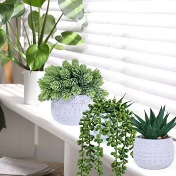 Winlyn Faux Potted Succulent Plants - Ideal Home Decor