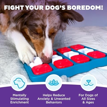 Outward Hound Dog Brick Puzzle Interactive Treat Toy Level 2