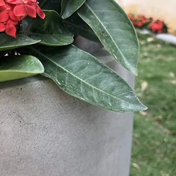 Kante 18 Inch Concrete Planter for Indoor Outdoor Spaces