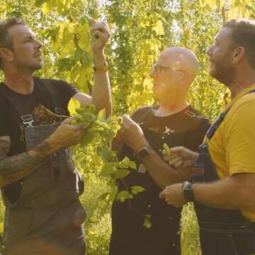 Ted Segers NA Brew Smooth Non-Alcoholic Beer Crafted in Michigan Hops