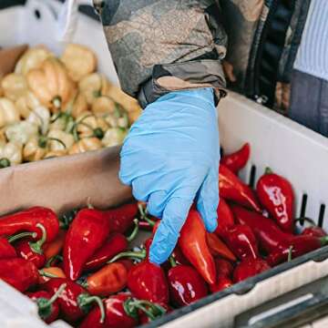 SwiftGrip Disposable Nitrile Exam Gloves, Blue, Nitrile Gloves Disposable Latex Free, Medical Gloves, Cleaning Gloves, Food-Safe Rubber Gloves, Powder Free, Non-Sterile, 100-ct Box (Large)