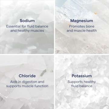 Trace Minerals ConcenTrace Drops | Full Spectrum Minerals | Ionic Liquid Magnesium, Chloride, Potassium | Low Sodium | Energy, Electrolytes, Hydration | 288 Day Supply, 8 fl oz (Pack of 3)