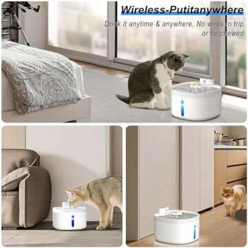 Bolpetizo Cat Water Fountain Filters, 6 Pack Replacement Filters for Pet, Pre-Filter Sponges Set for Stainless Steel 67oz, 88oz, 95oz, 135oz Automatic Dog Water Fountain Pet Fountain Water Dispenser