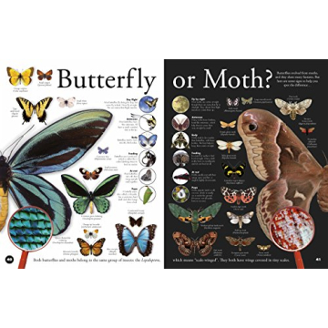 Bug Themed Book for Kids Aged 6-8: Fun Facts & Games