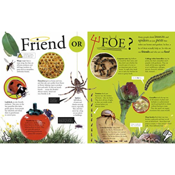 Bug Themed Book for Kids Aged 6-8: Fun Facts & Games