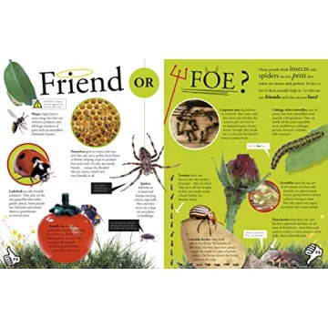 Bug Themed Book for Kids Aged 6-8: Fun Facts & Games