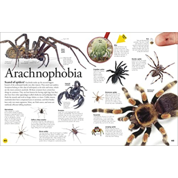 Bug Themed Book for Kids Aged 6-8: Fun Facts & Games