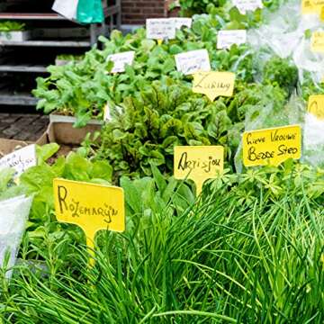 50 Pack Outdoor Tall Plant Labels, Large Waterproof Plastic Plant T-Type Tags, Durable Nursery Garden Markers, Perfect for Herbs, Flowers, Vegetable and Potted Plants