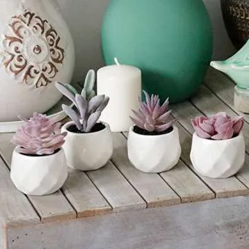 Tiita Purple Artificial Faux Succulents in Pots, Mini Purple Fake Plants for Women Desk, Small Realistic Faux Succulents for Home Office Accessories Window Sill Bathroom Bedroom 4 Set, Purple