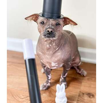 Brightkins Magic Trick Training Set - Training Games for Dogs, Dog Tricks, Dog Training Aids