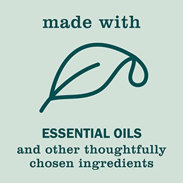 MRS. MEYER'S CLEAN DAY Hand Soap Aromatherapeutic Birchwood Pack