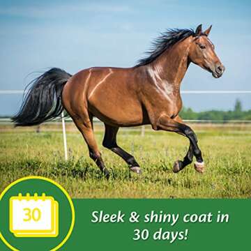 Farnam Super 14 Healthy Skin & Coat Supplement for Horses, Keeps Coats Shiny & Gleaming Year-Round 2...