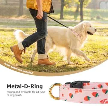 Stylish Cotton Dog Collars for Fashionable Pets