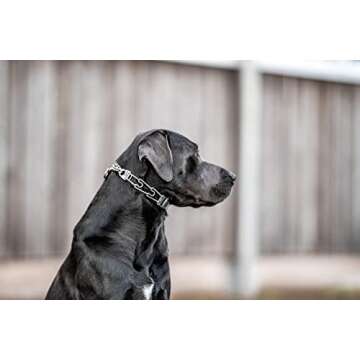 Herm Sprenger Dog Training Prong Collar with Quick Release Cliclock Buckle & Swivel Ring | Adjustable Length Stainless Steel Collar Made in Germany for Large Dogs up to 20" Neck (3.2mm Prongs)