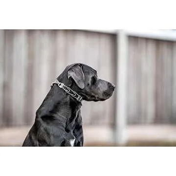 Effective Herm Sprenger Prong Collar for Large Dogs