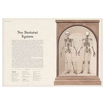 Anatomicum