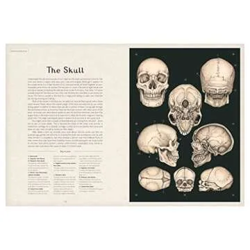 Anatomicum - Stunning Anatomy Book for Kids Aged 8+