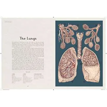 Anatomicum - Stunning Anatomy Book for Kids Aged 8+