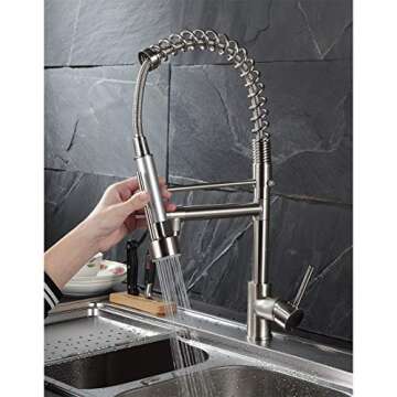 Fapully Spring Handle Kitchen Faucet with Pull Down