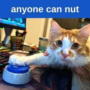 The Nut Button Toy - When Memes Become Reality | Meme Gag Gift for him Boyfriend Husband Friend | Hilarious Funny Prank Buzzer for Holiday & Christmas | Silly Easy to use | Press Button That says NUT