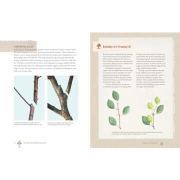 Grow a Little Fruit Tree: Simple Pruning Techniques for Small-Space, Easy-Harvest Fruit Trees