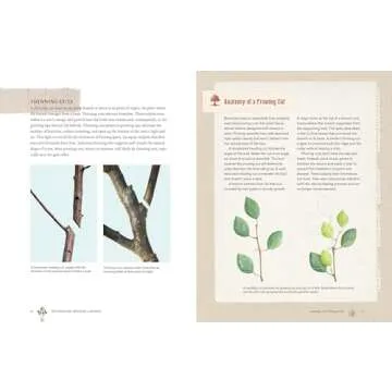 Grow a Little Fruit Tree: Simple Pruning Techniques for Small-Space, Easy-Harvest Fruit Trees