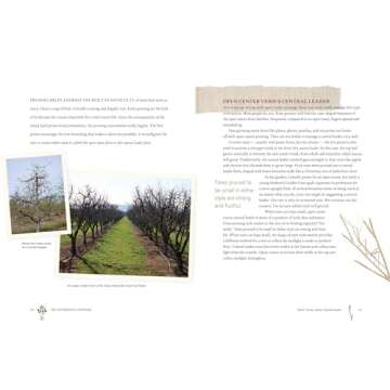 Grow a Little Fruit Tree: Simple Pruning Techniques for Small-Space, Easy-Harvest Fruit Trees