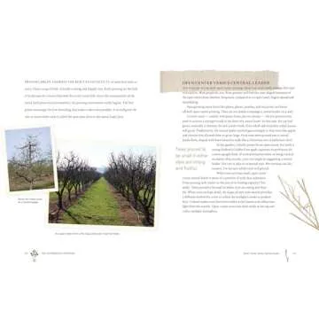 Grow a Little Fruit Tree: Simple Pruning Techniques for Small-Space, Easy-Harvest Fruit Trees