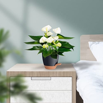 Vanslogreen 5-Pack Self Watering Planters for Easy Plant Care