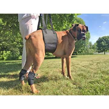 Dog Lift Harness Bundled with Rear Leg Brace Support Wraps - Veterinarian Approved Pet Rehabilitatio...