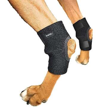 Dog Lift Harness Bundled with Rear Leg Brace Support Wraps - Veterinarian Approved Pet Rehabilitation - Help Restore Mobility and Balance for ACL Injuries Arthritis and Disabilities by bundl - Large