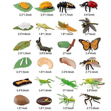 Odowalker Insect Life Cycle Figures - 24PC Educational Set