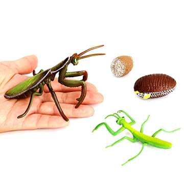 Odowalker Insect Life Cycle Figures - 24PC Educational Set